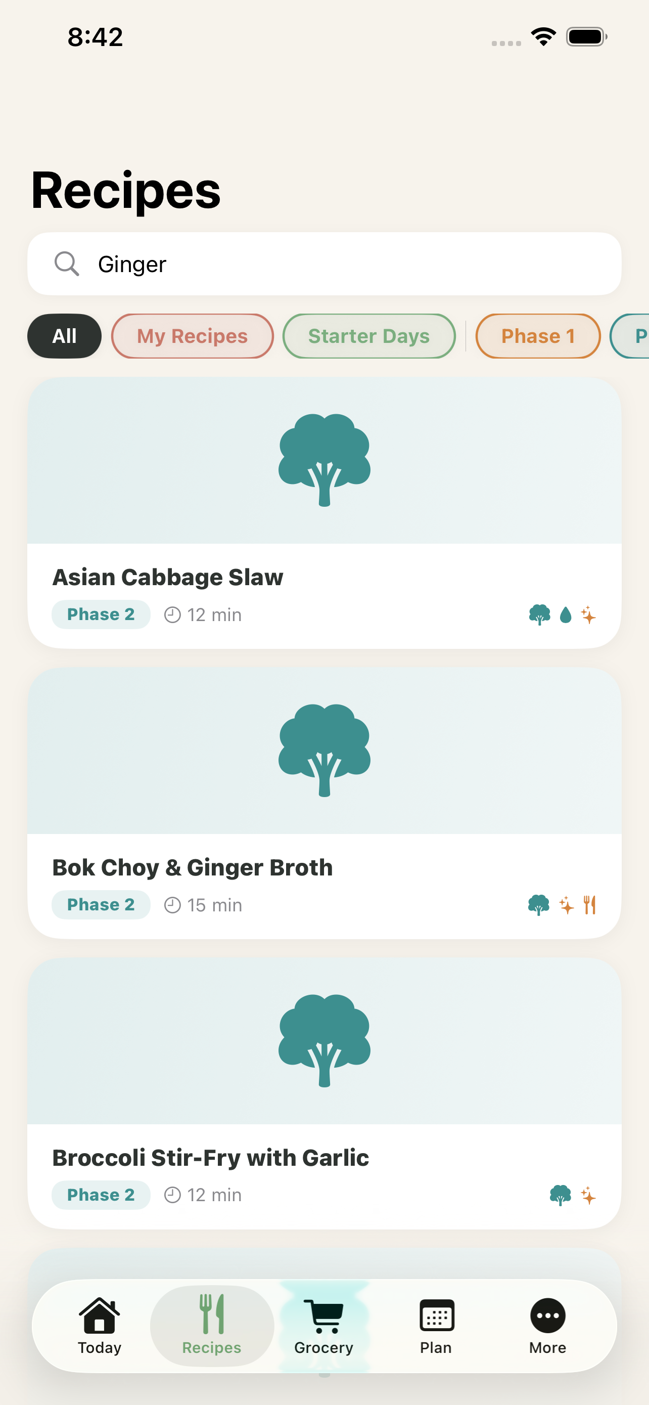 Recipes tab showing search and category filter chips